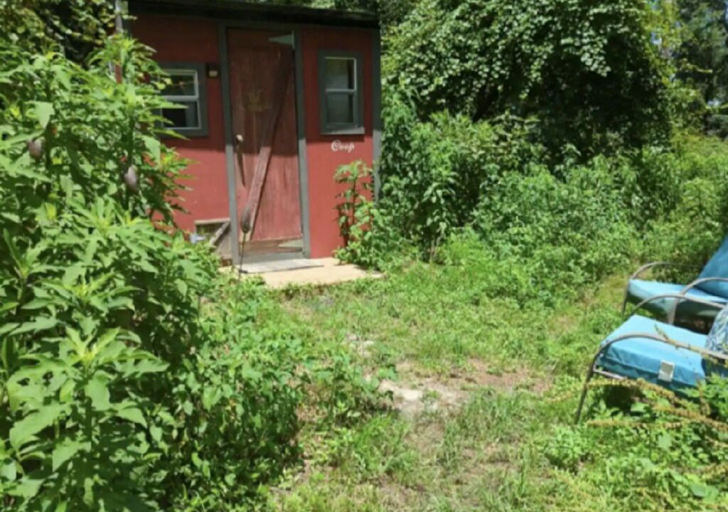 Photo of Outdoor in Telogia