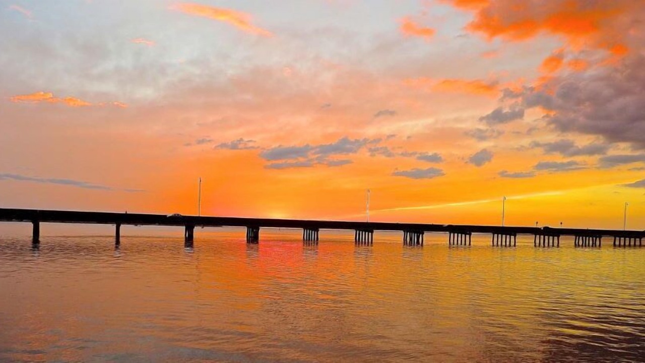 Photo of Others in Charlotte Harbor