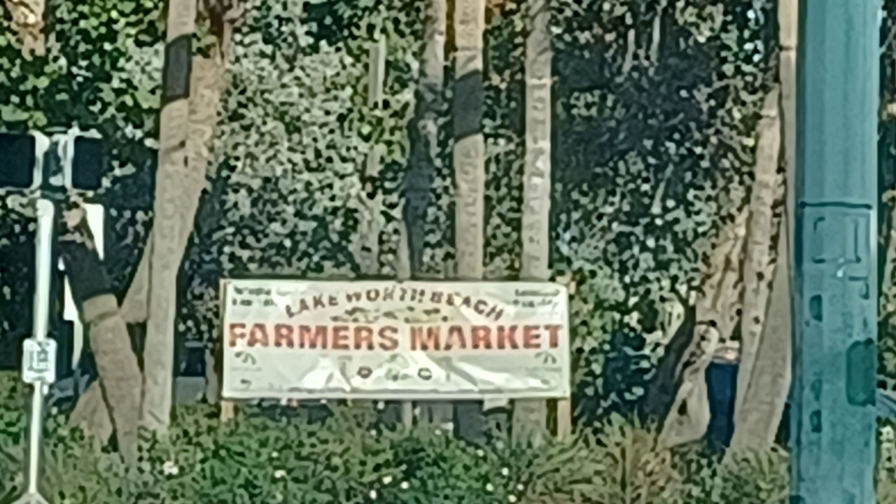 Photo of Others in Mango Groves