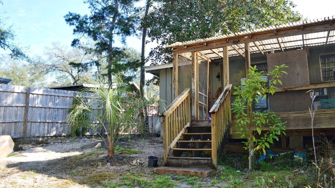 Photo of Outdoor in Telogia