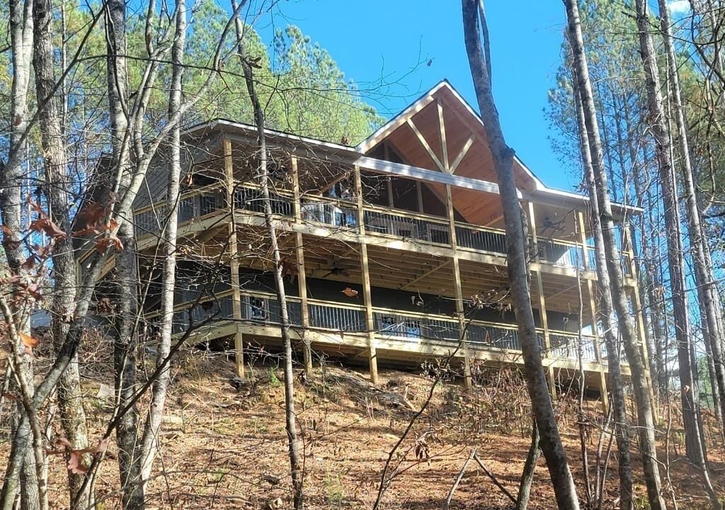 Photo of Others in Mineral Bluff