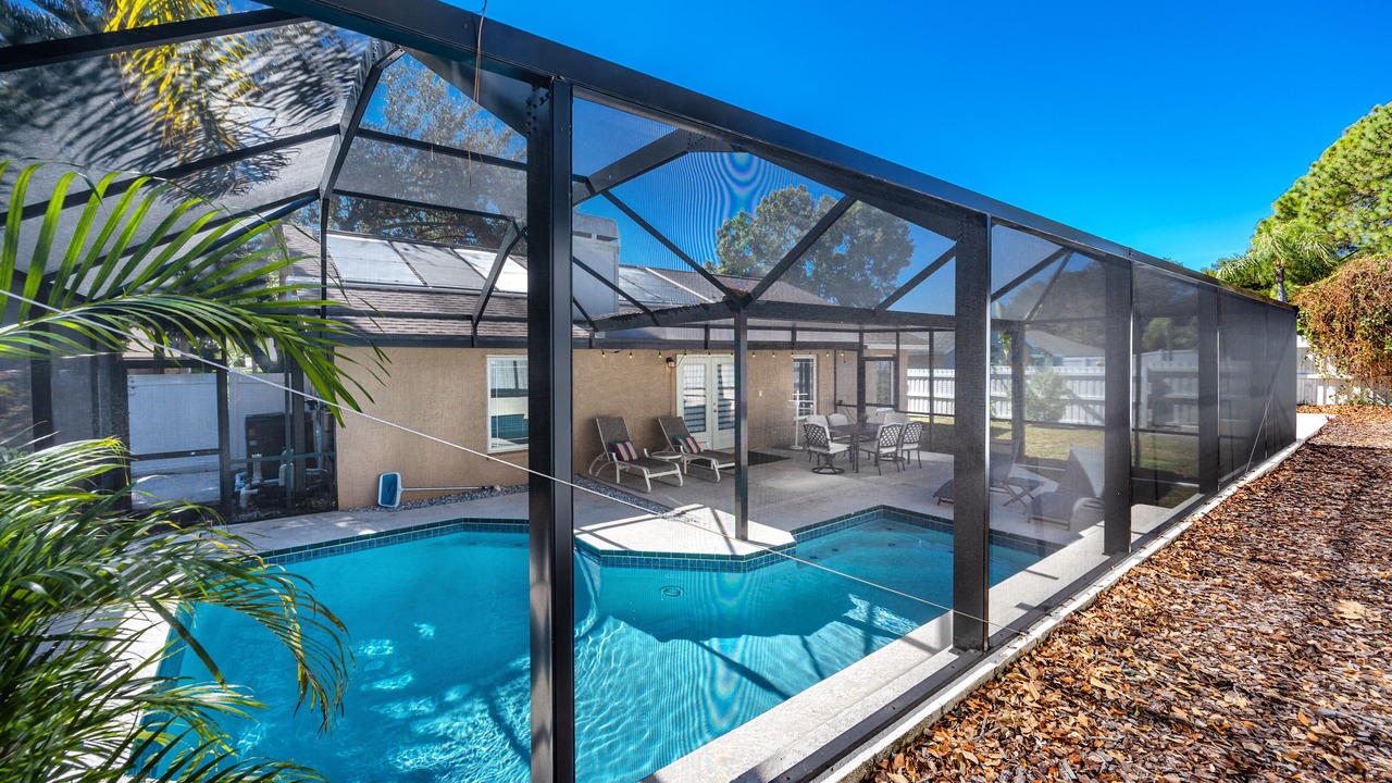 Photo of Outdoor in Palm Harbor