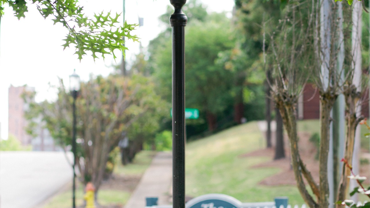 Photo of Others in Montgomery
