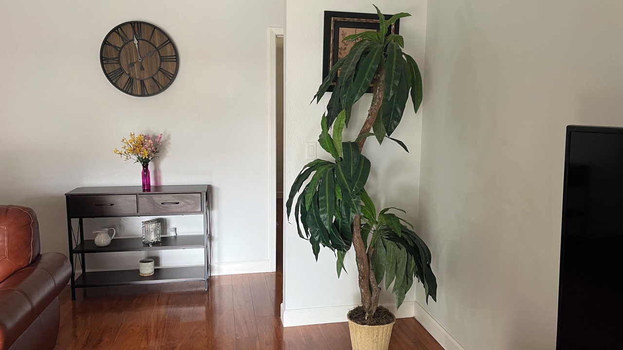 Photo of Livingroom in Oldsmar