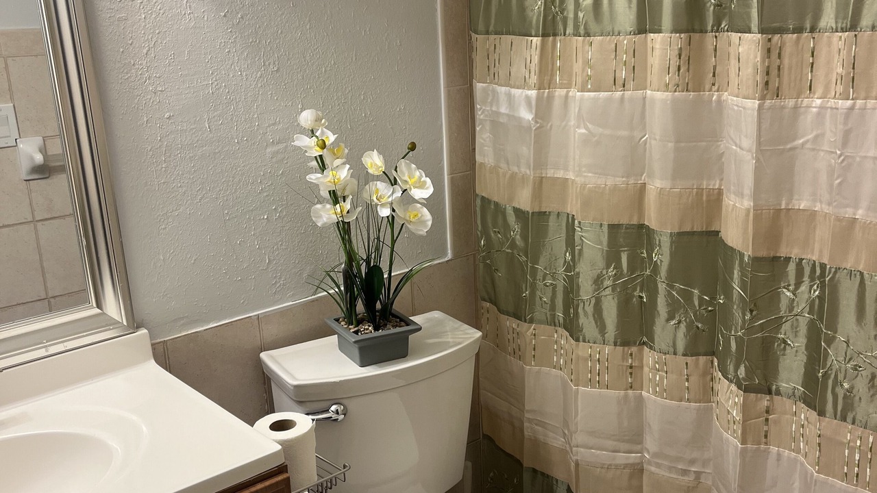 Photo of Bathroom in Oldsmar