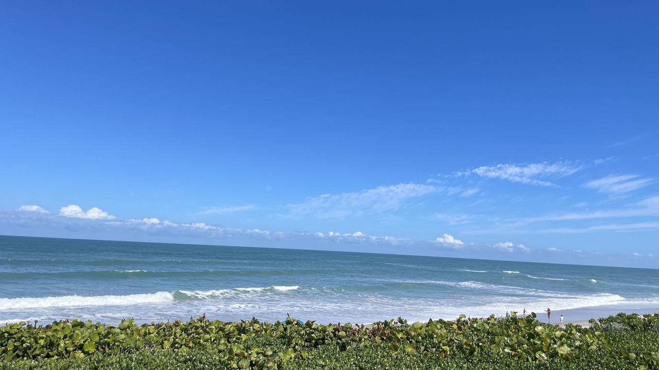 Photo of Others in Wabasso Beach