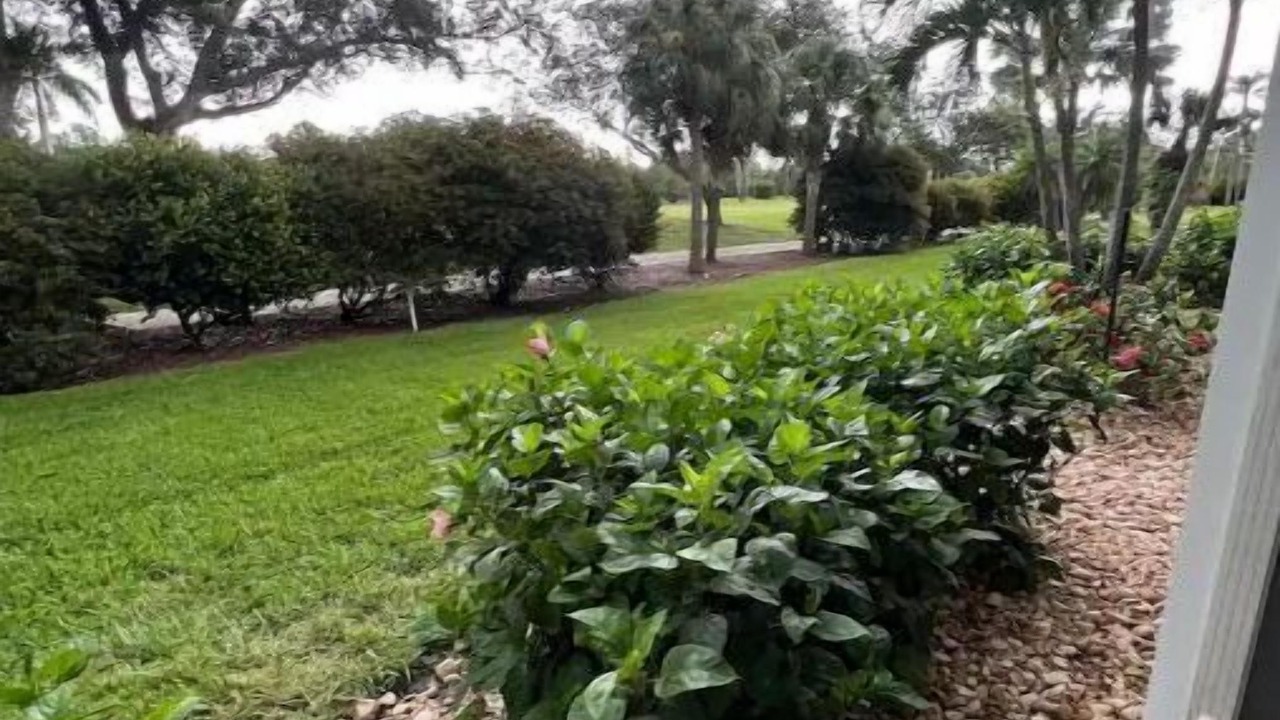 Photo of Outdoor in Cypress Lake