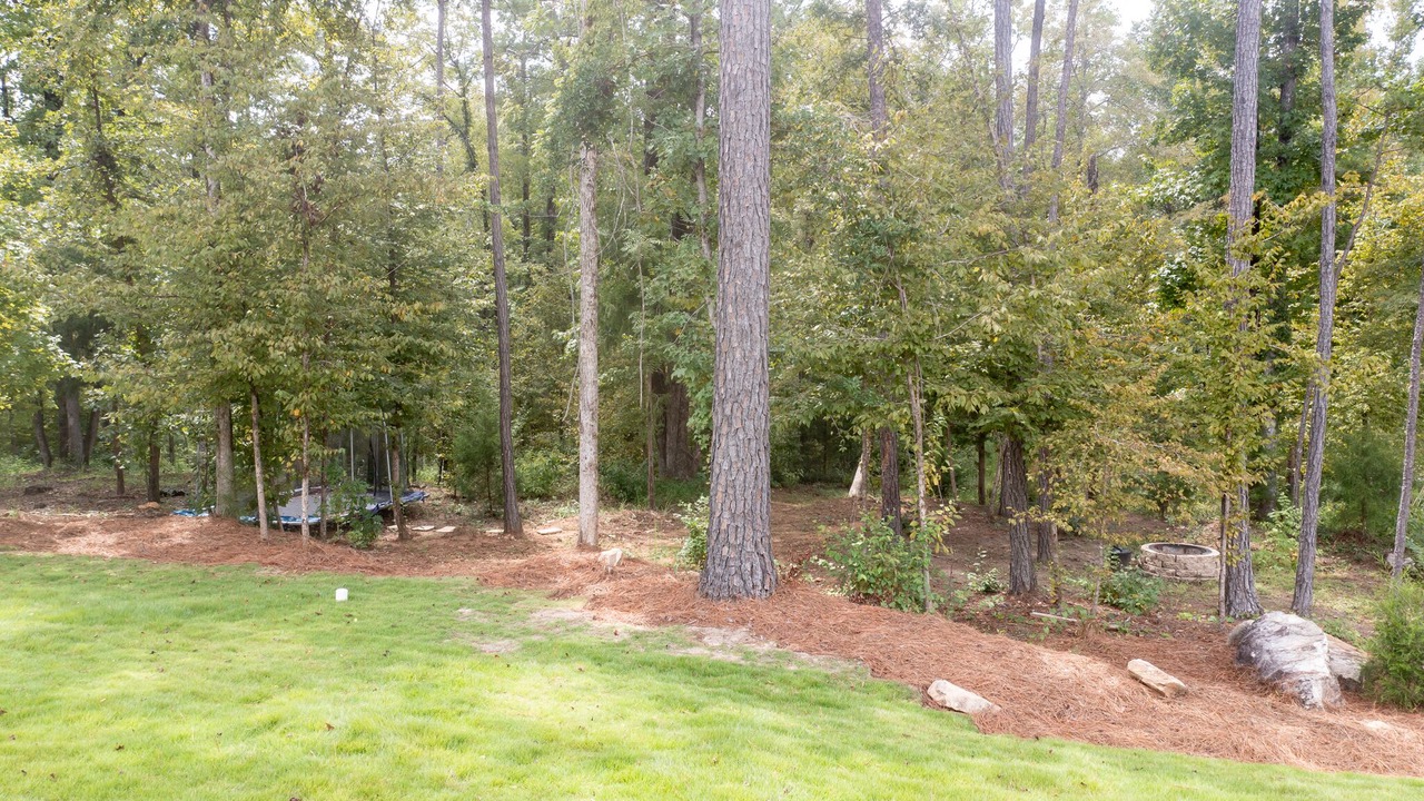 Photo of Outdoor in Auburn