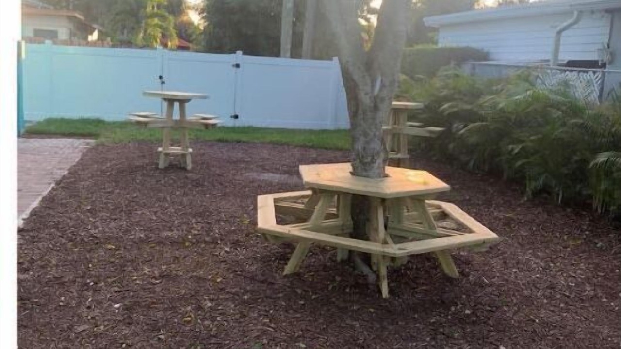 Photo of Outdoor in Mango Groves