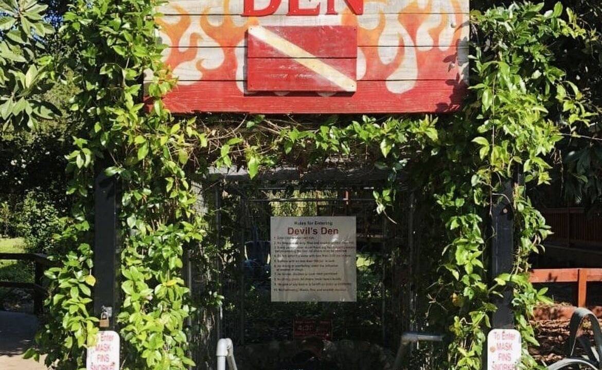 Photo of Others in Edgar