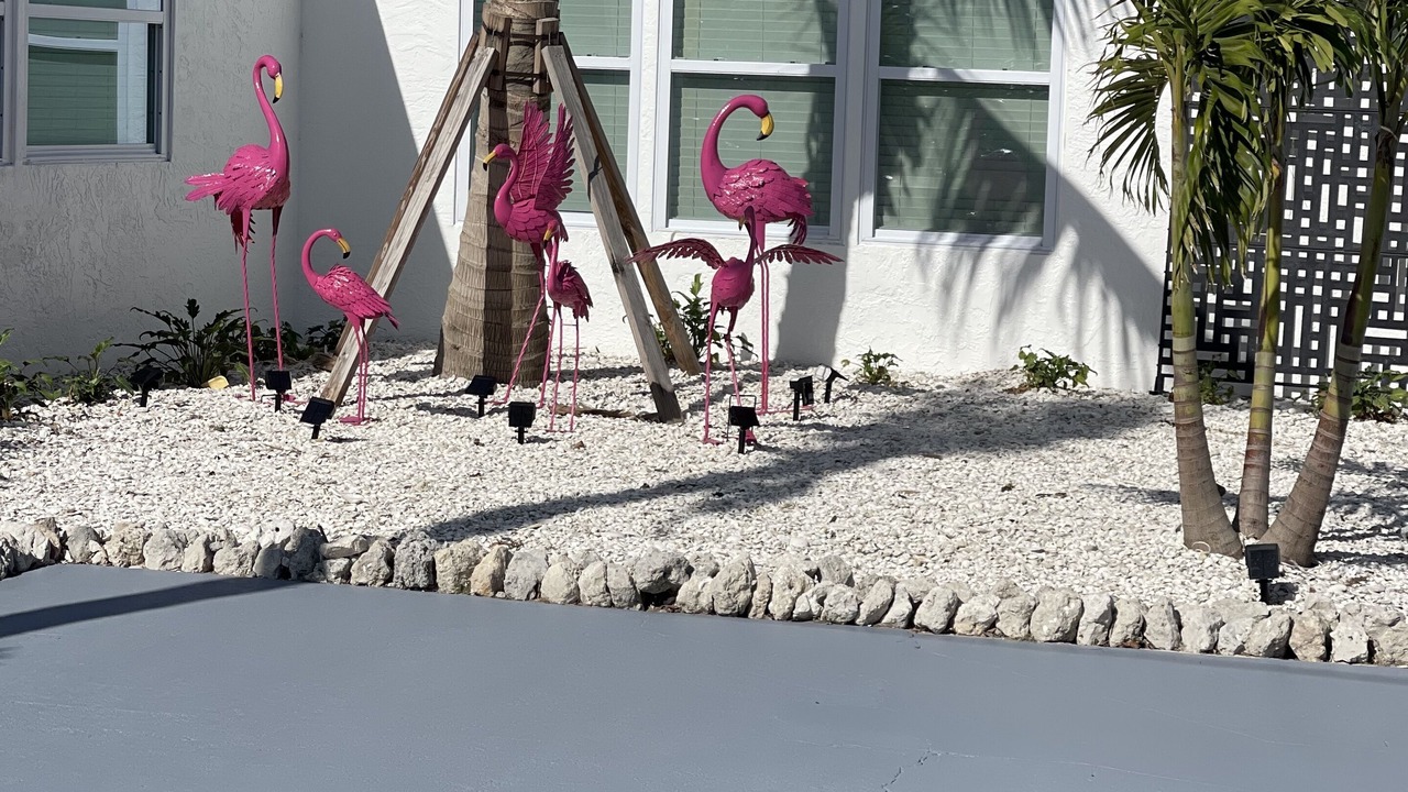 Photo of Outdoor in Bonita Springs