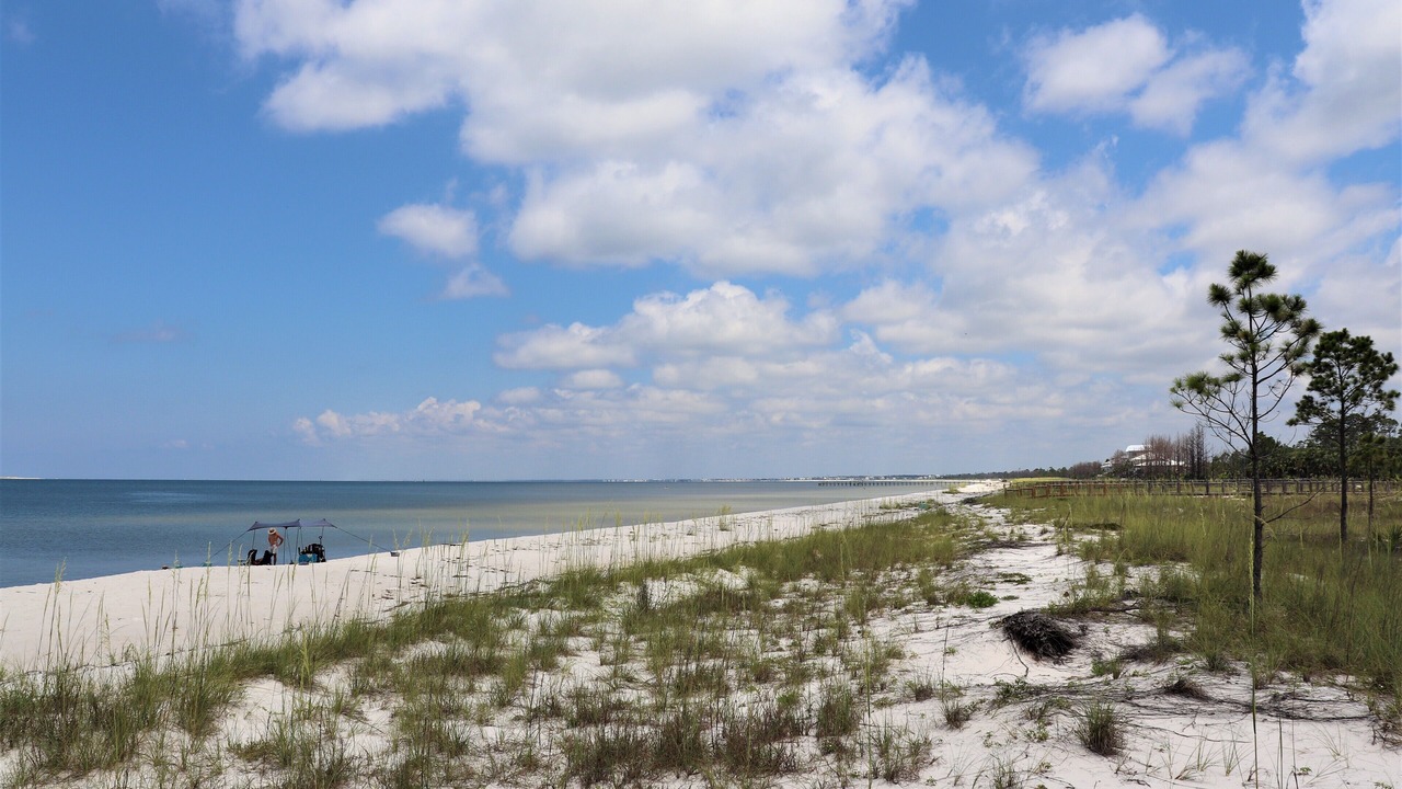 Photo of Others in Port St. Joe