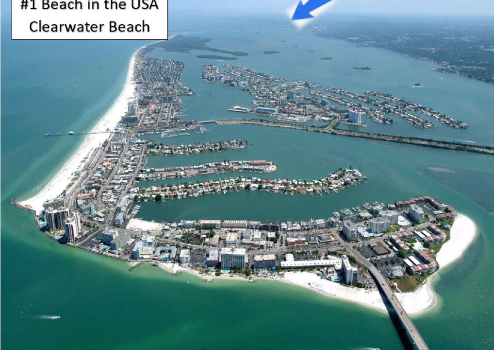 Photo of Others in Palm Harbor