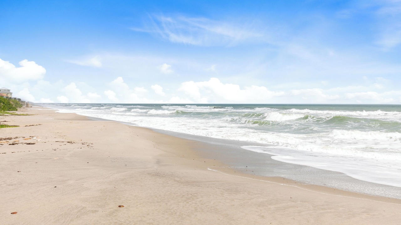 Photo of Others in Indian Harbour Beach
