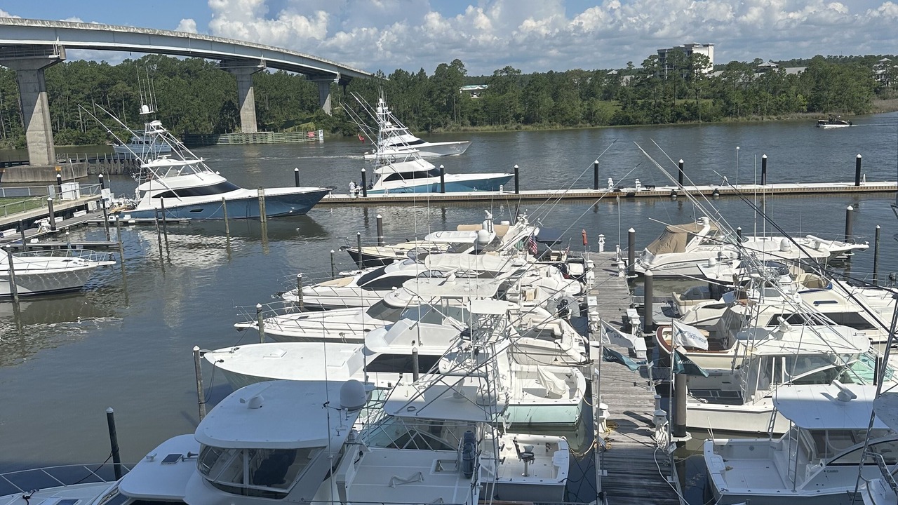 Photo of Others in Orange Beach