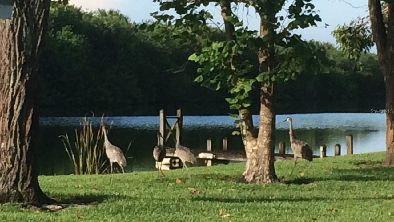 Photo of Outdoor in Lakeport