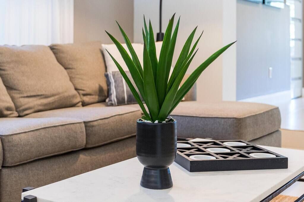 Photo of Livingroom in Biscayne Park