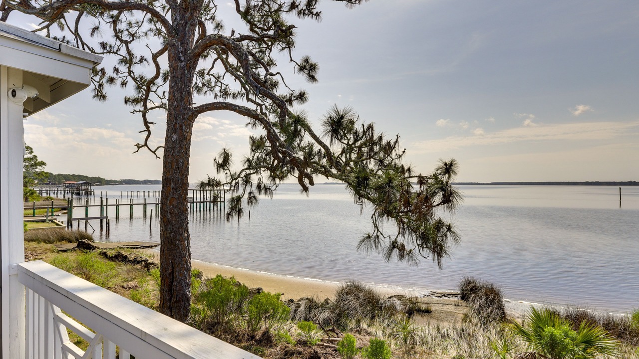 Photo of Others in Ochlockonee Bay