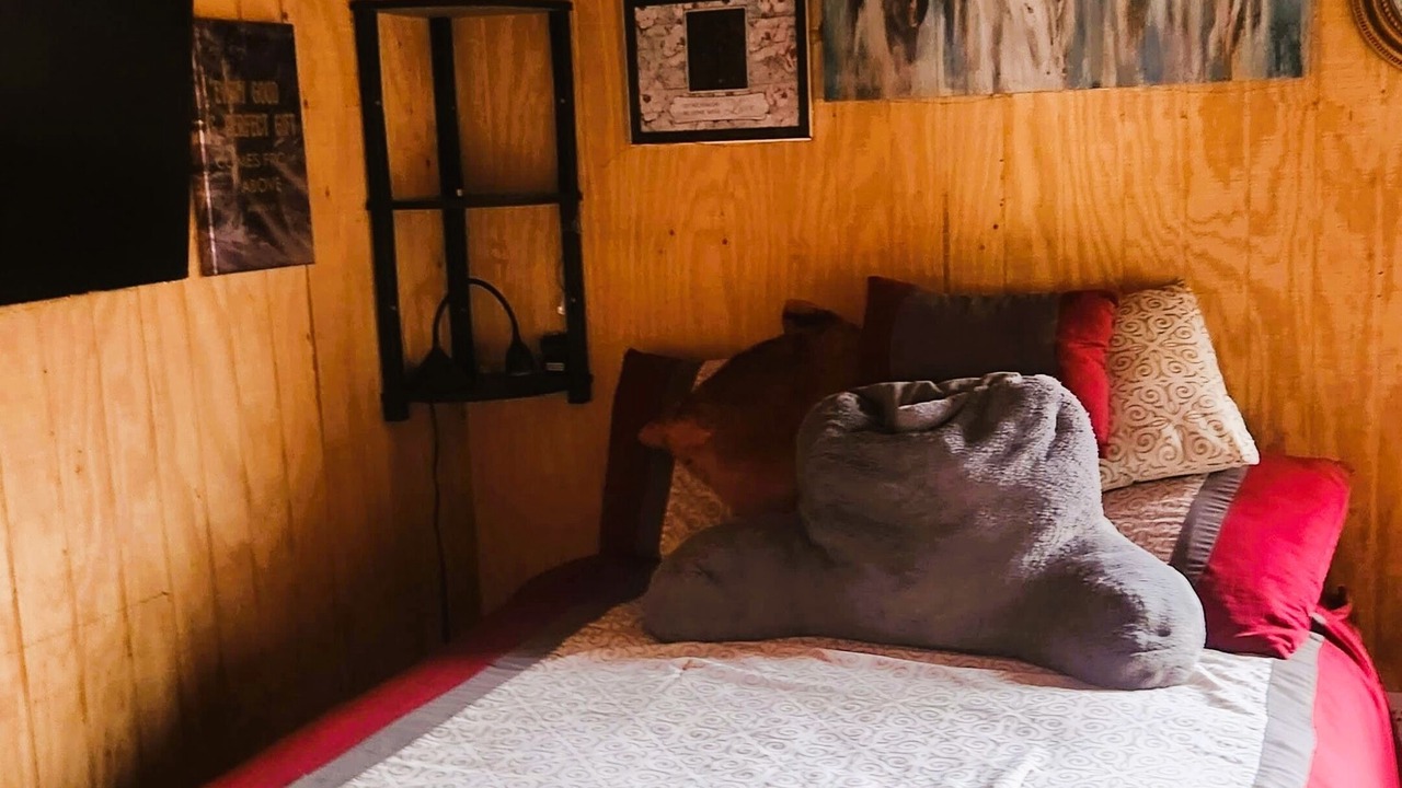 Photo of Bedroom in Anderson