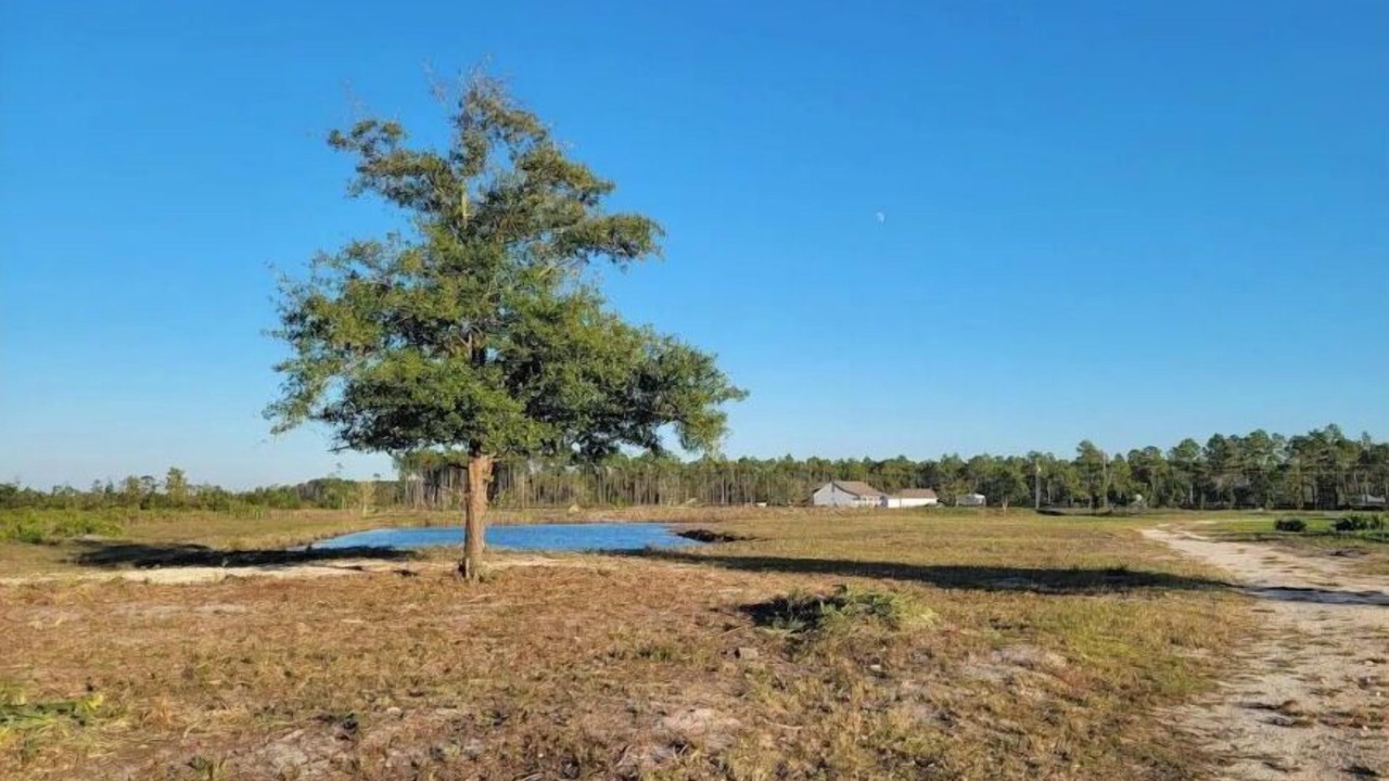 Photo of Outdoor in Baker County
