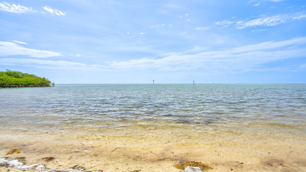 Photo of Others in Islamorada