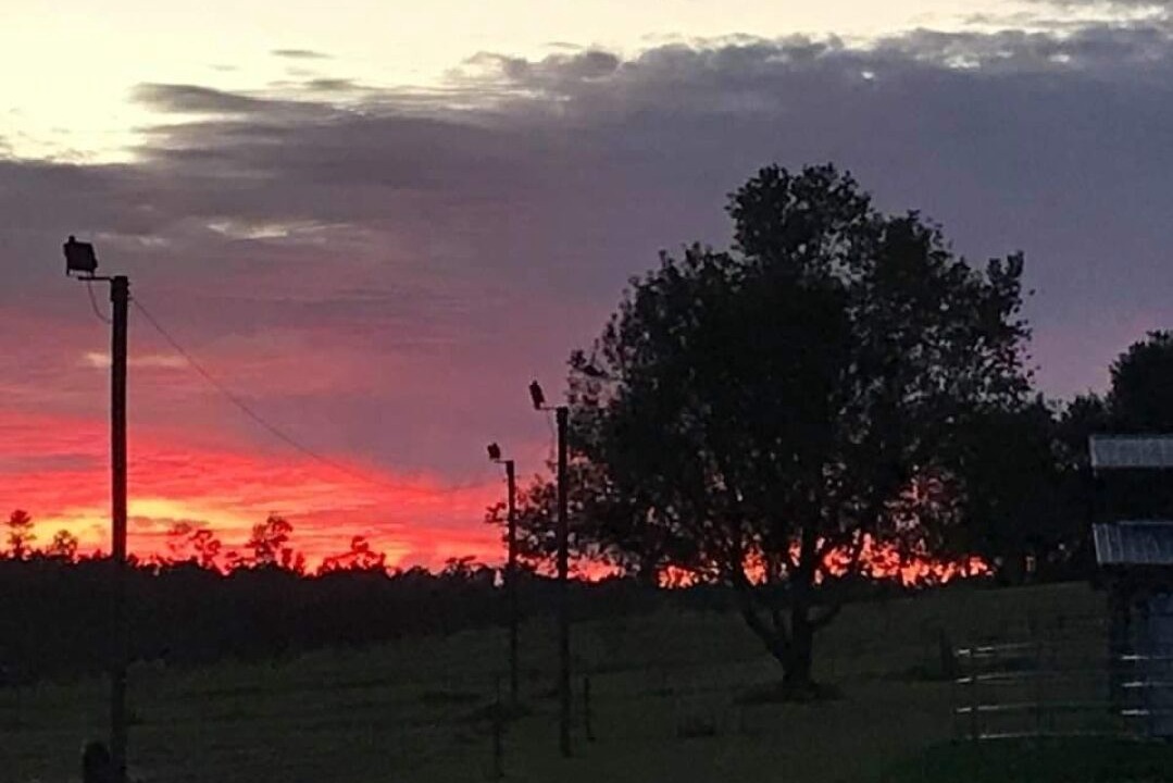 Photo of Outdoor in Sneads