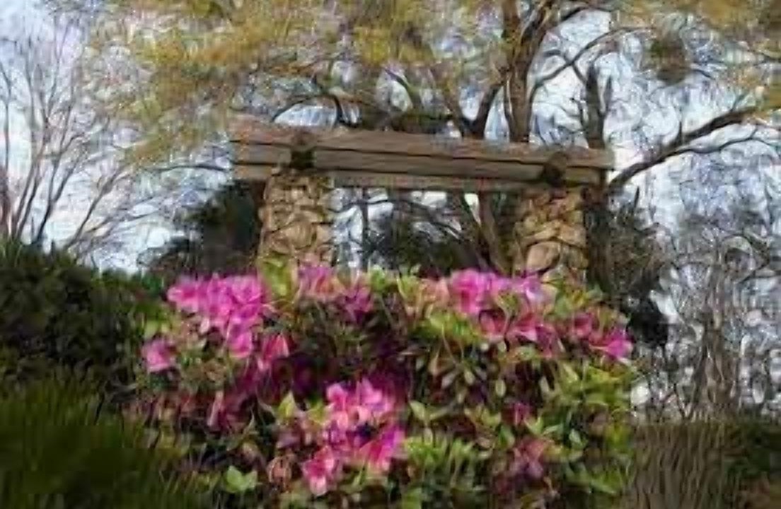 Photo of Outdoor in Palatka