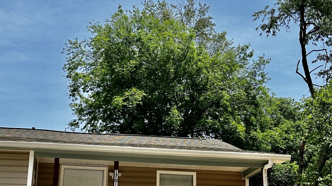 Photo of Outdoor in Springdale