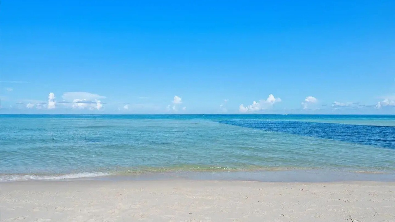 Photo of Others in Sunny Isles Beach