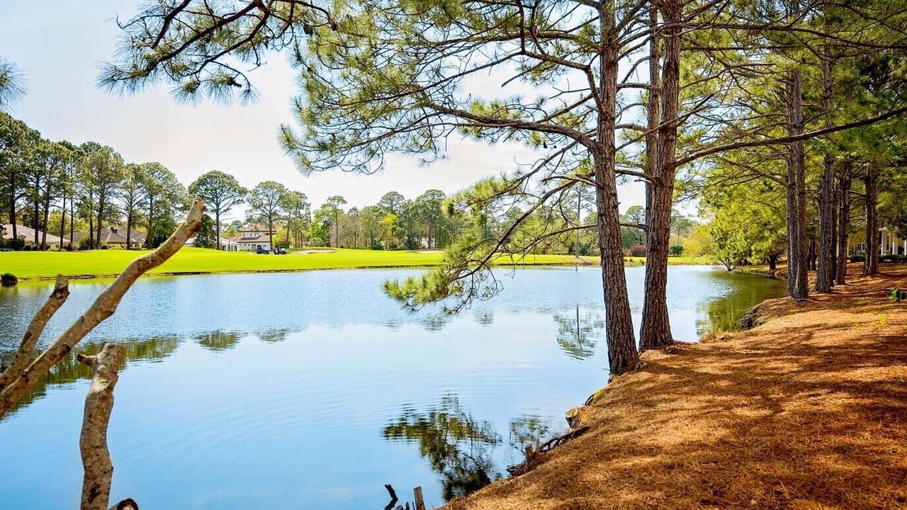 Photo of Others in Laurel Grove