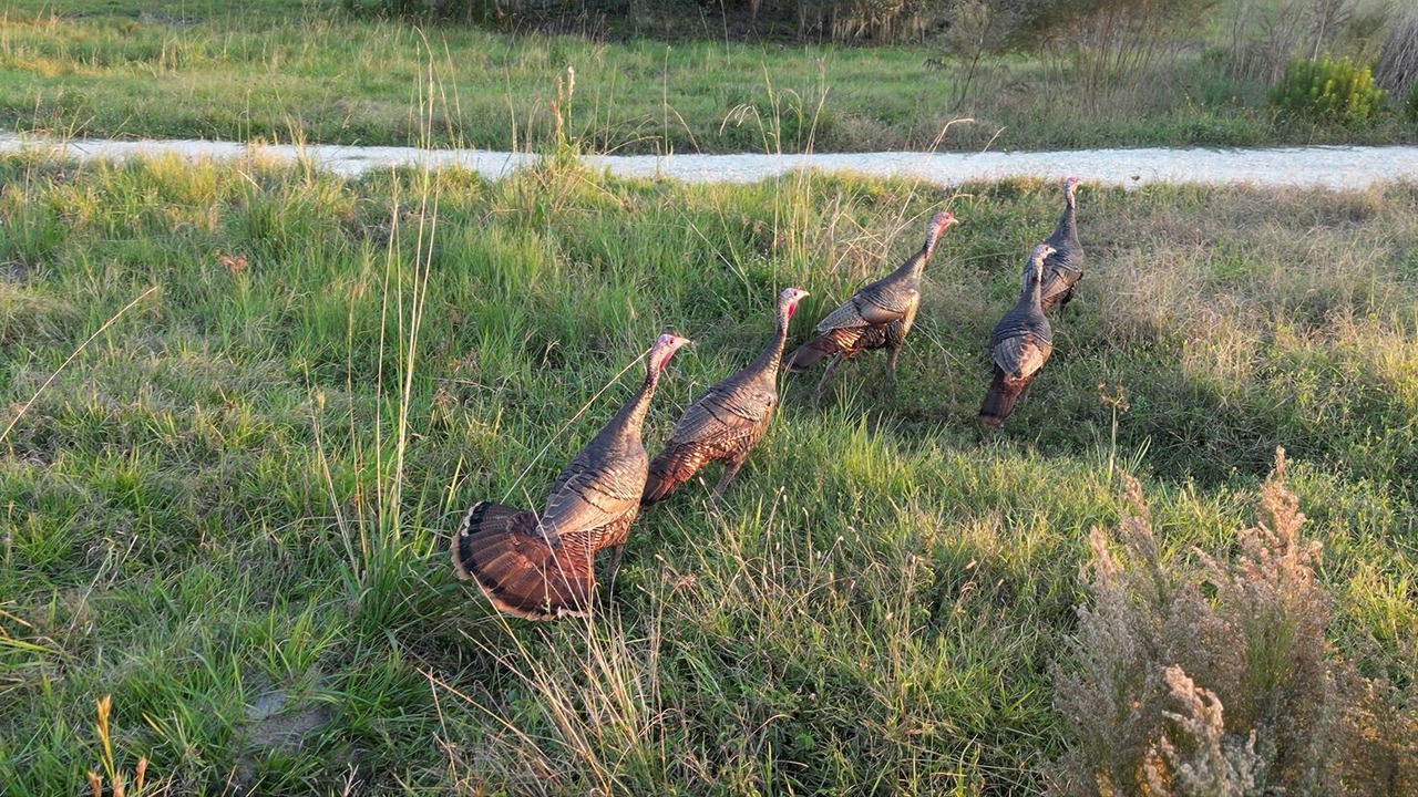 Photo of Others in River Ranch