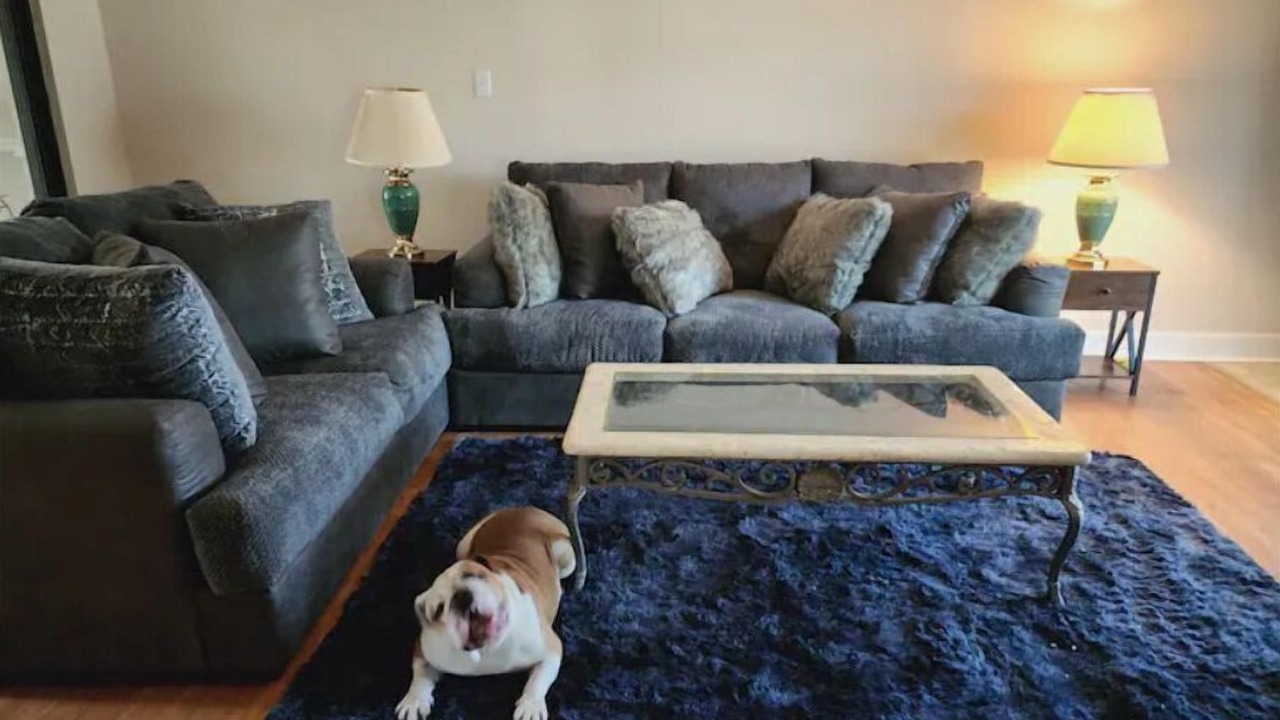 Photo of Livingroom in Candler
