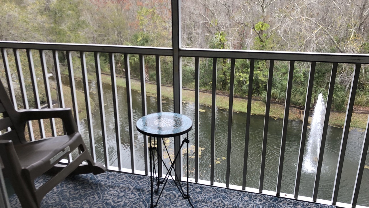 Photo of Outdoor in Lutz