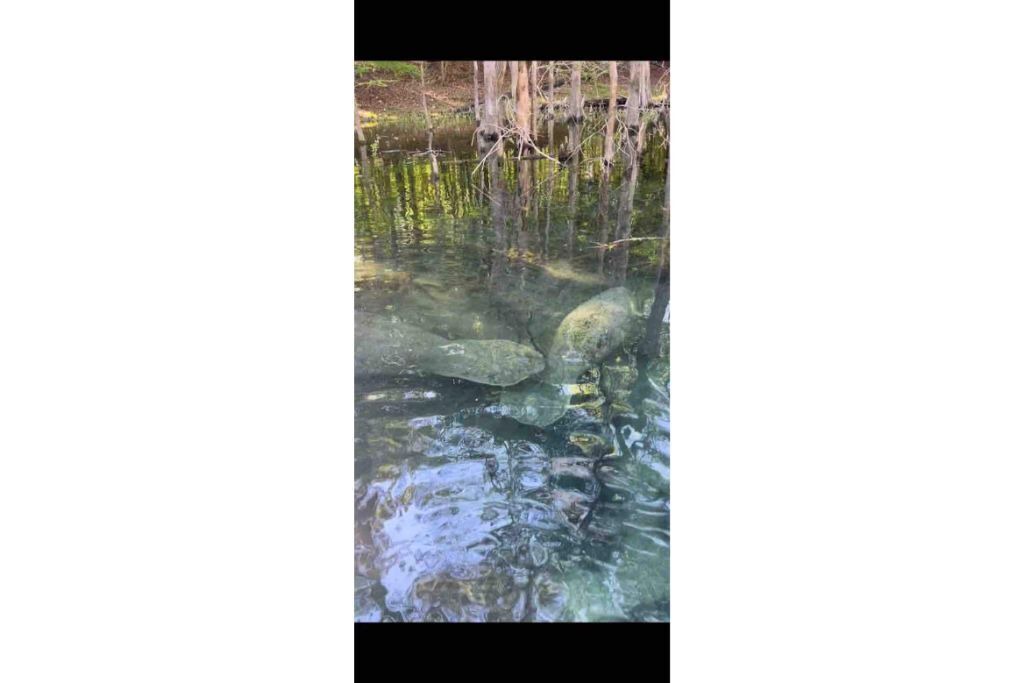 Photo of Others in Fort White