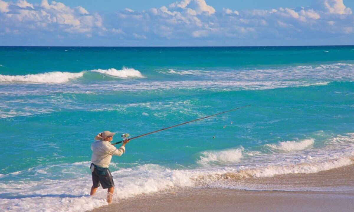 Photo of Others in Fort Pierce Shores