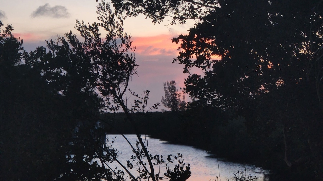 Photo of Outdoor in Fort Pierce Shores