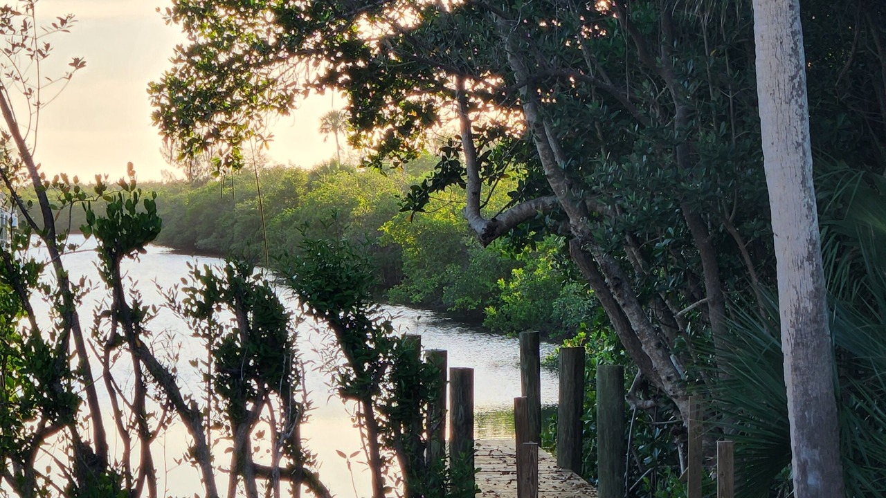 Photo of Others in Fort Pierce Shores