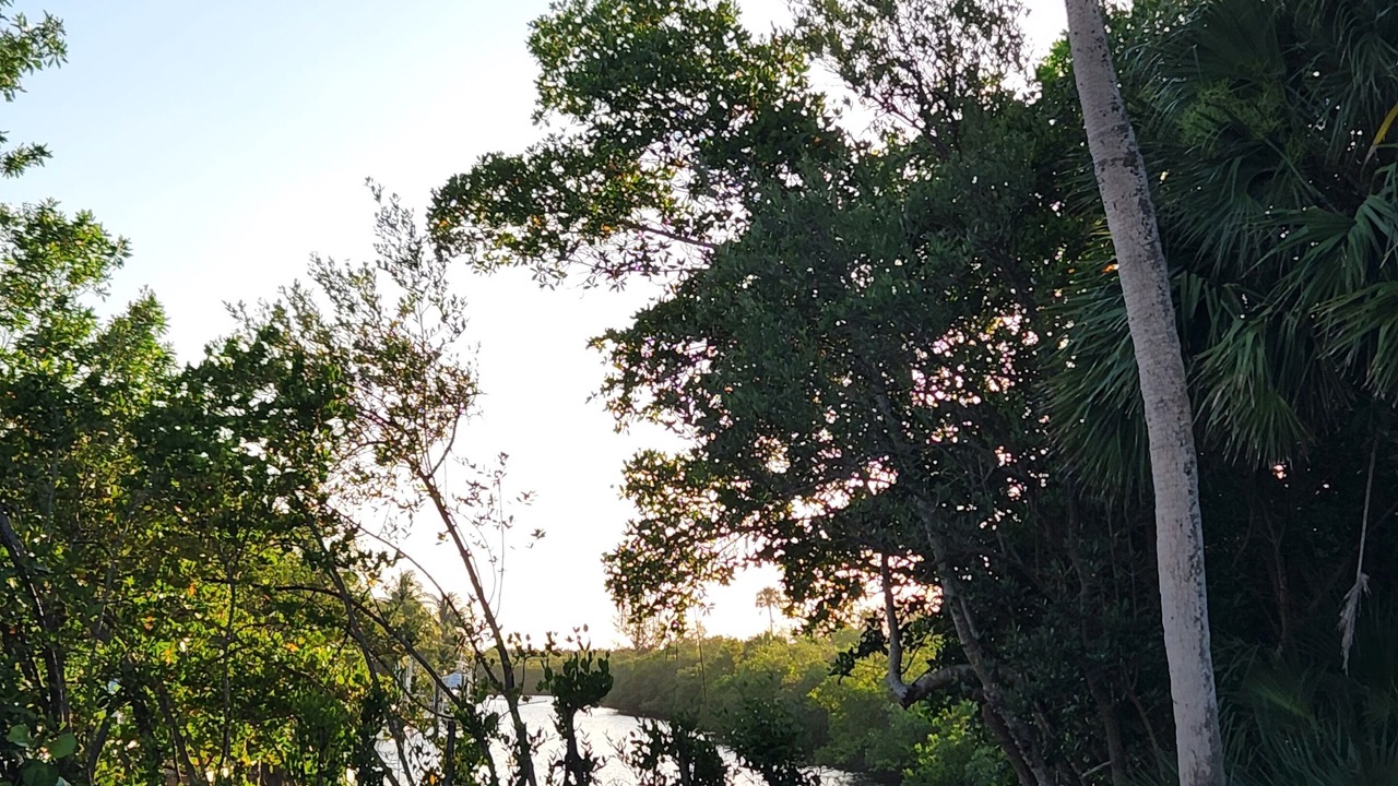 Photo of Outdoor in Fort Pierce Shores