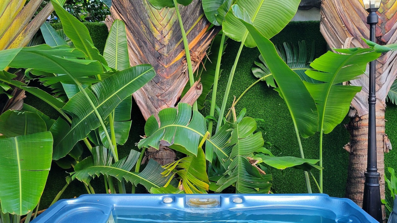 Photo of Outdoor in Seybold
