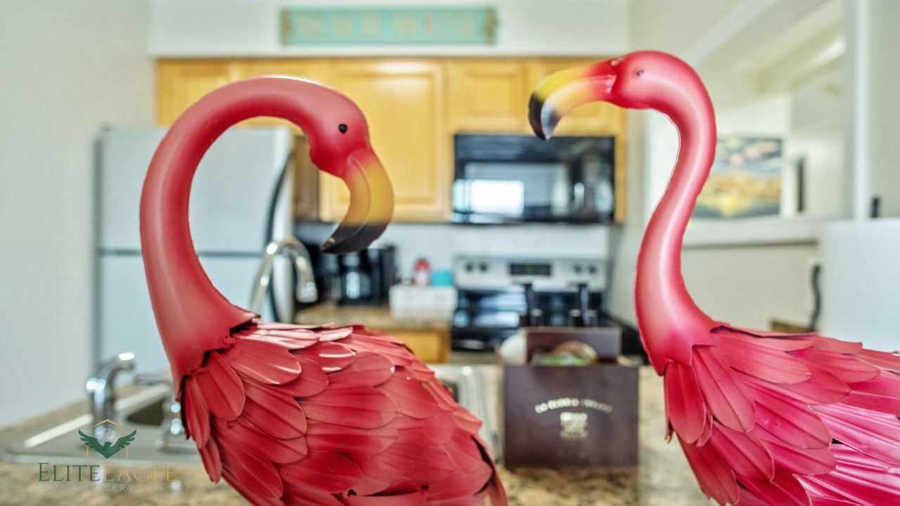 Photo of Kitchen in Rocky Point