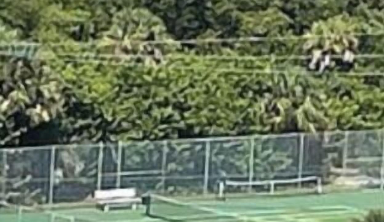 Photo of Others in Hutchinson Island South
