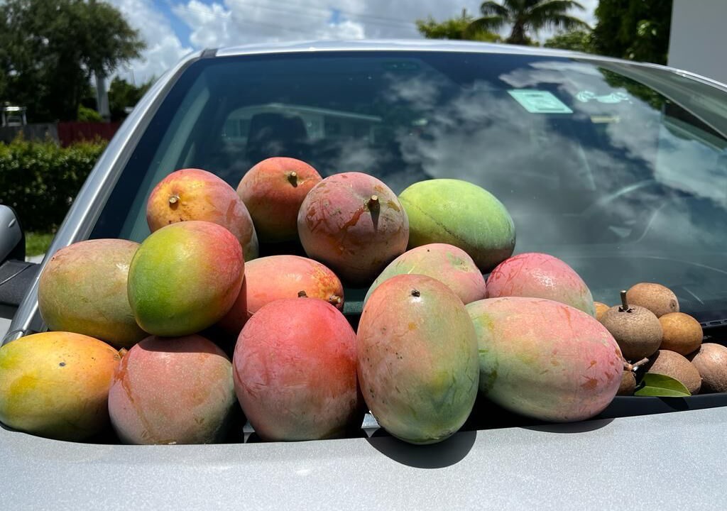 Photo of Others in Pembroke Pines