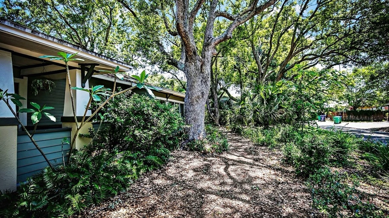Photo of Others in Seminole Heights
