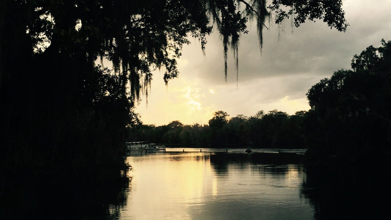Photo of Others in DeLand