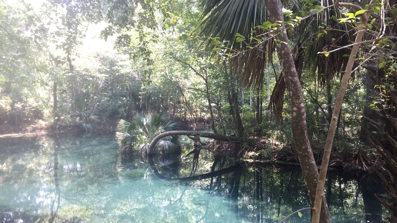 Photo of Outdoor in DeLand