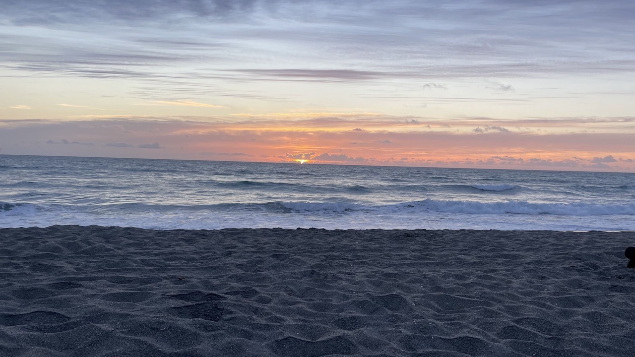 Photo of Others in Hobe Sound
