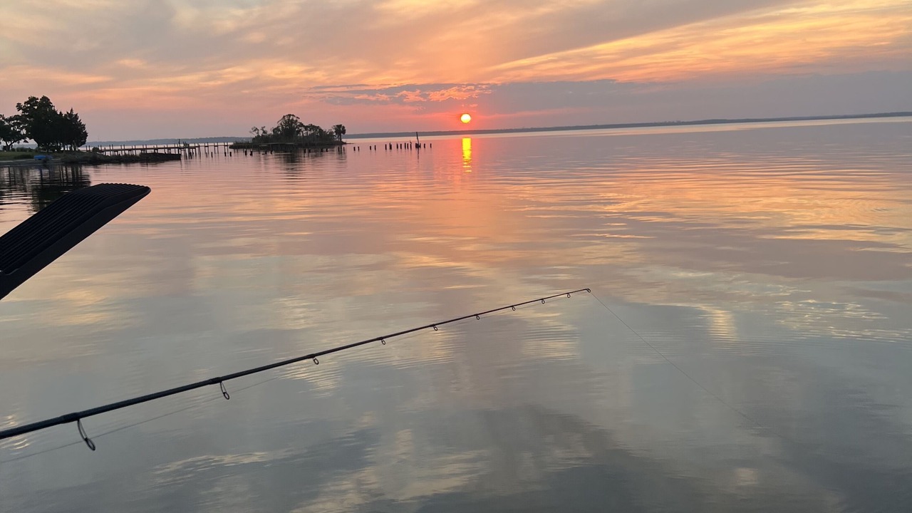 Photo of Others in Florida Panhandle