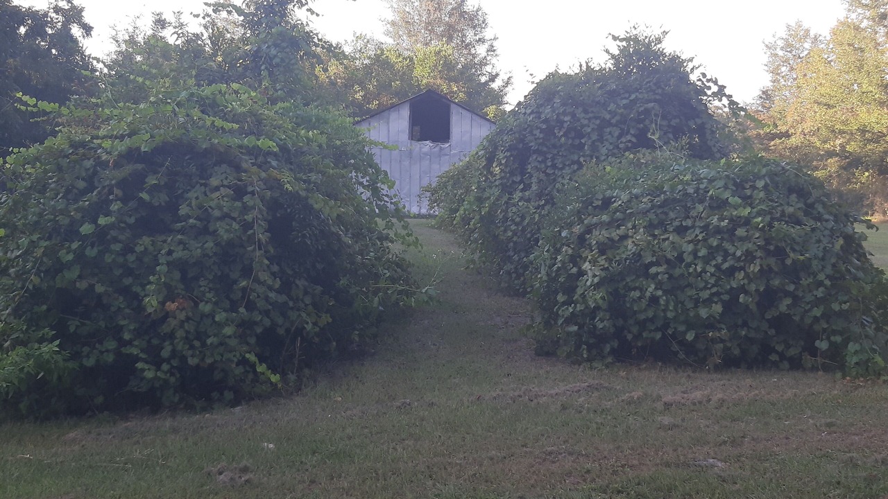 Photo of Outdoor in High Springs