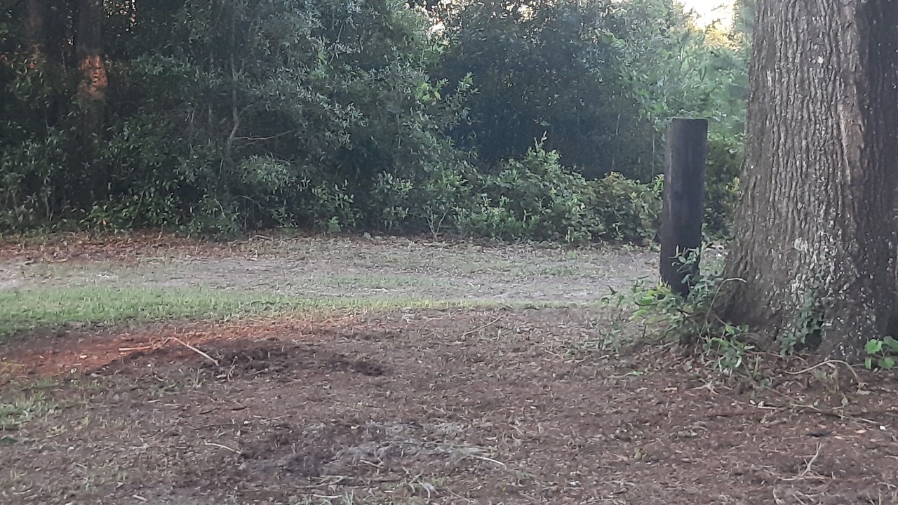 Photo of Outdoor in High Springs