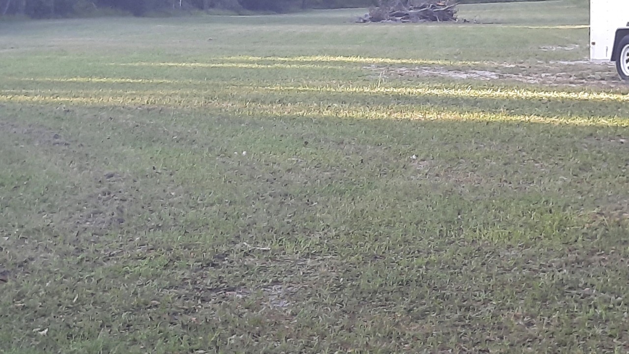 Photo of Others in High Springs